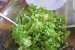Salata creata cu cartofi, ceapa si usturoi verde-6