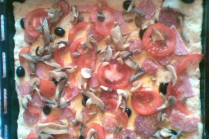Pizza de casa