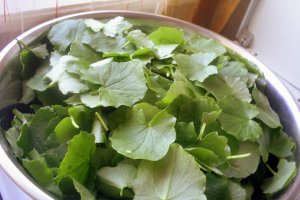 Ciorba de salata de padure (untisor)
