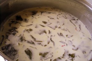 Ciorba de salata de padure (untisor)