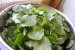 Ciorba de salata de padure (untisor)-0