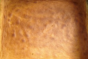 Tavalite
