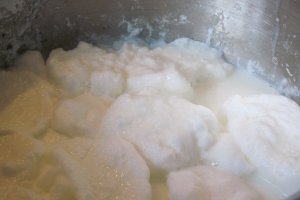 Lapte de pasare