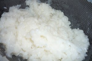 Rosii portugheze
