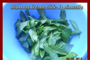 Leurda in sos bechamel