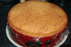 Tort cu iaurt si capsuni