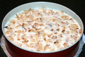 Desert tort Raffaello