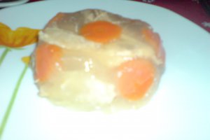 racitura de cocos(pasare)