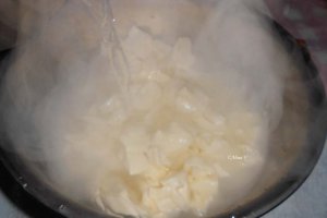 Homemade Mozzarella I