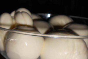 Homemade Mozzarella I