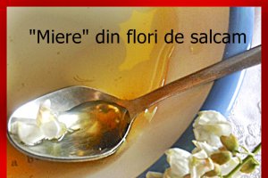 "Miere " din flori de salcam