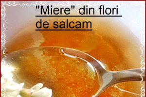 "Miere " din flori de salcam