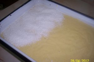 Prajitura cu nuca de cocos si iaurt