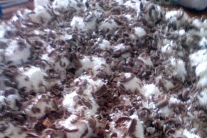 Tort Cataif cu ciocolata si fulgi de cocos