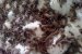 Tort Cataif cu ciocolata si fulgi de cocos-4