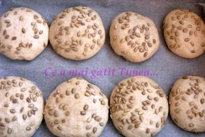 Paine din faina alba/neagra