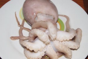 Salata cu caracatita