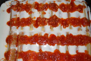 Cannelloni alla bolognese