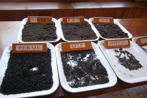 Ceai srilankez cu zahar de cocotier("coconut sugar")