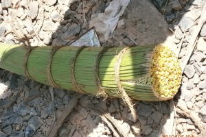Ceai srilankez cu zahar de cocotier("coconut sugar")