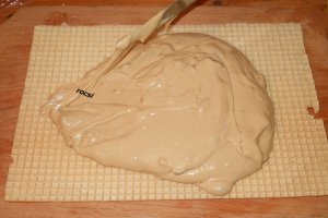 Ciocolata cu ness si alune in foi de napolitana