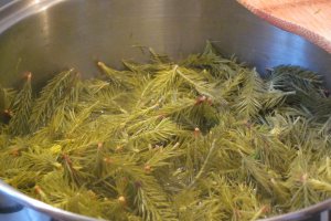 Sirop din muguri de brad, varianta la cald