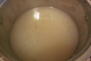Sirop din muguri de brad, varianta la cald