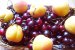 Negresă cu fructe şi cremă de iaurt-6