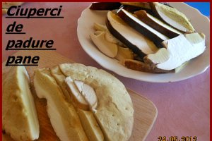 Ciuperci pane