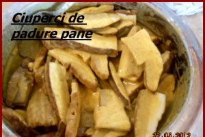 Ciuperci pane