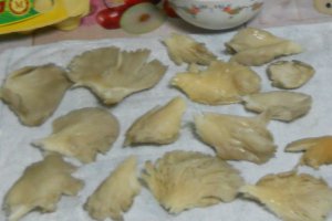 Ciuperci pane