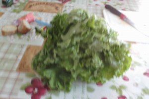 Salata simpla cu piept de pui