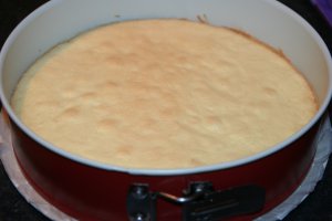 Tort de ciocolata fructat