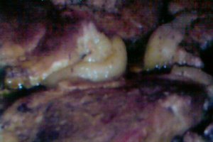 Friptura asortata la cuptor