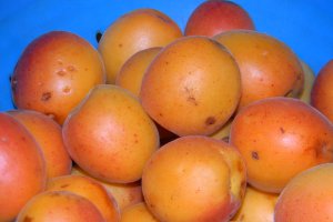 Gem de caise si cirese