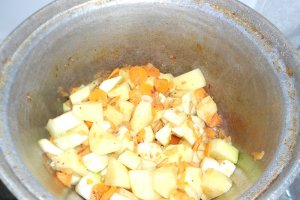 Mancarica de legume