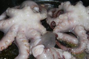 Scoici si  caracatita