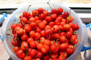 American Cherry Pie