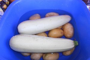 Legume la gratar