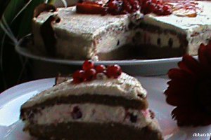 Tort racoritor de vara