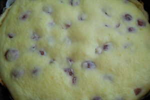 Prajitura cu branza si visine