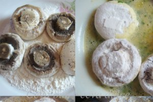 Ciuperci pane