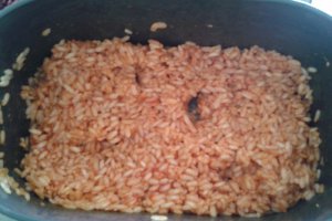 Bulete de pui cu orez si mozzarella