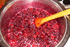 Gem de mure