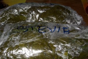 Cum pastrez eu loboda, spanacul si stevia pentru iarna