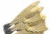 Cod fiert cu legume (Bacalhau cozido)-2