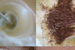 Prajitura cu visine, nuca si crema de vanilie