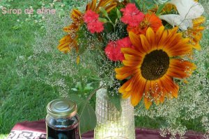Sirop de afine
