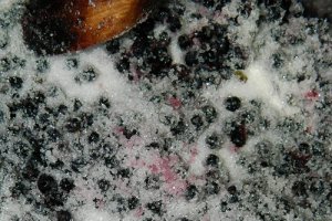 Sirop de afine