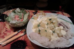 PANGASIUS LA GRATAR CU SOS SI SALATA